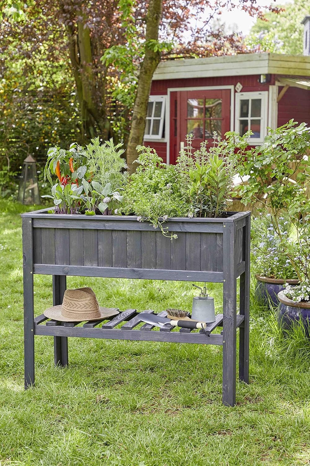 myGardenlust - Jardinera de Madera para Plantar Verduras en el ...