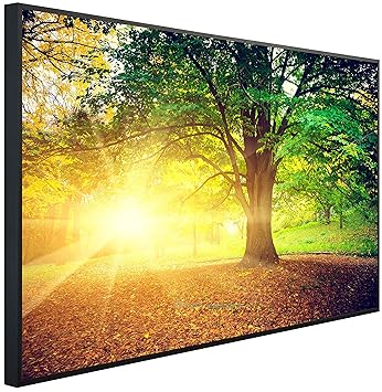 InfrarotPro | Infrarotheizung 600 Watt | Bildheizung 100x60x3 cm | Made in Germany | Geprüfte Technik | Ultra-HD Auflösung | 
