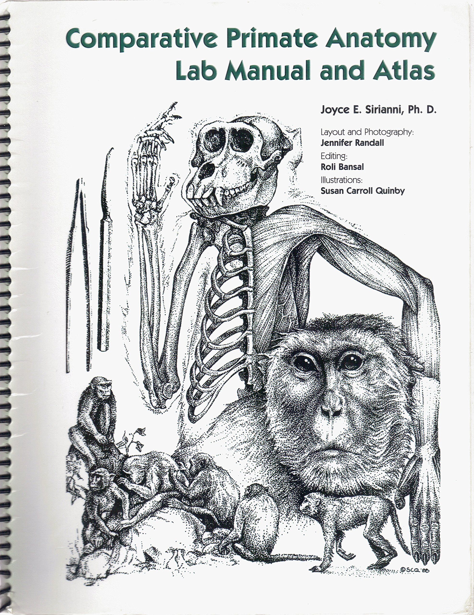 Comparative Primate Anatomy Lab Manual And Atlas Phd - 