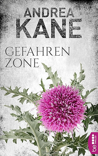 Download Gefahrenzone (Romantic Suspense der Bestseller-Autorin Andrea Kane 5) (German Edition) PDF