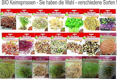 Bio Keimsprossen vers Sorten Alfalfa Radies Brokkoli Weizen Rauke Linsen Zwiebel (Wellness Mischung)
