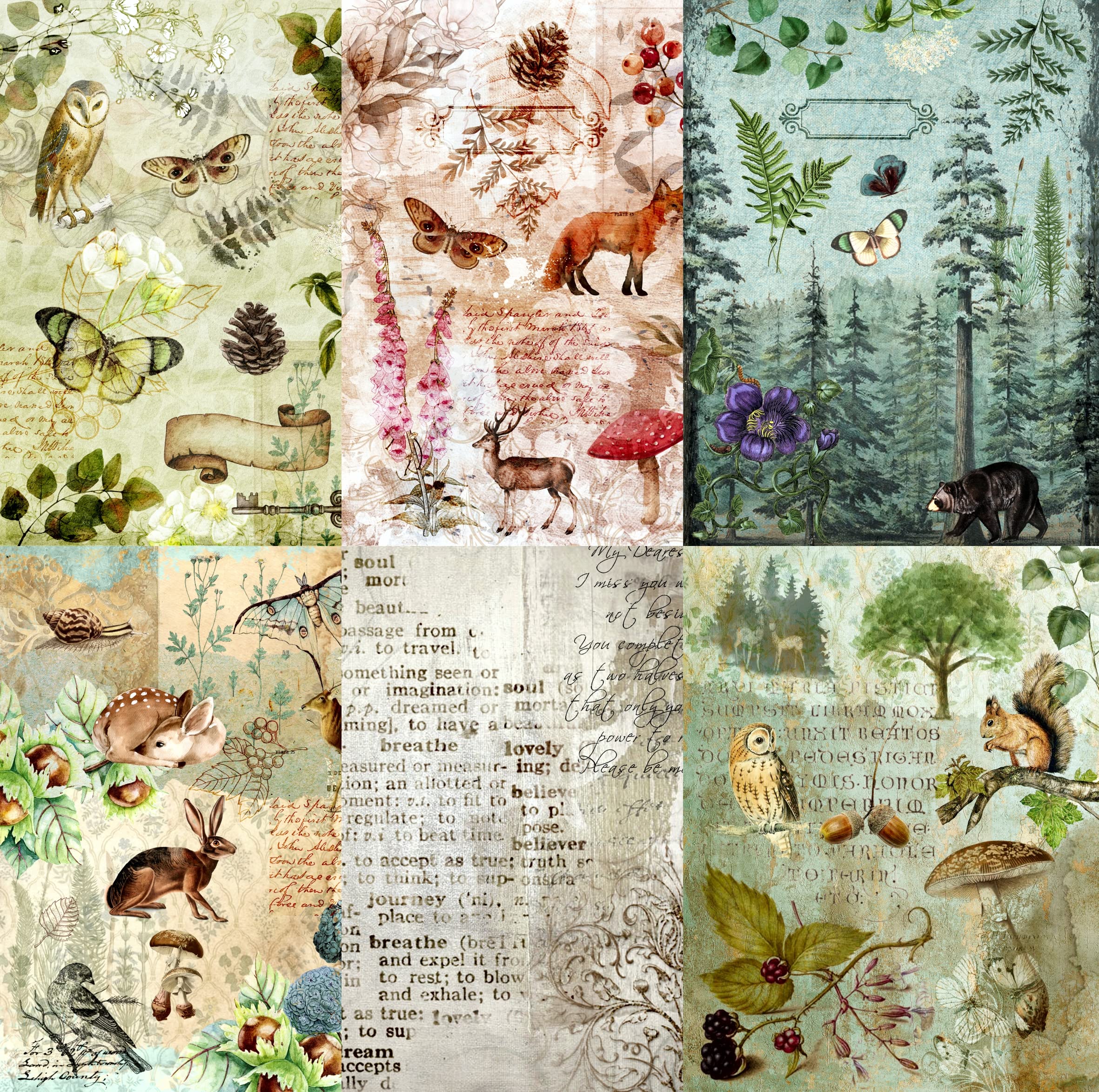 Woodland Theme Mulberry Rice Paper, 20.5 x 26.5cm - 6 x Different Printed Mulberry Paper Images 30gsm Visible Fibres for Decoupage Crafts Mixed Media Collage Art