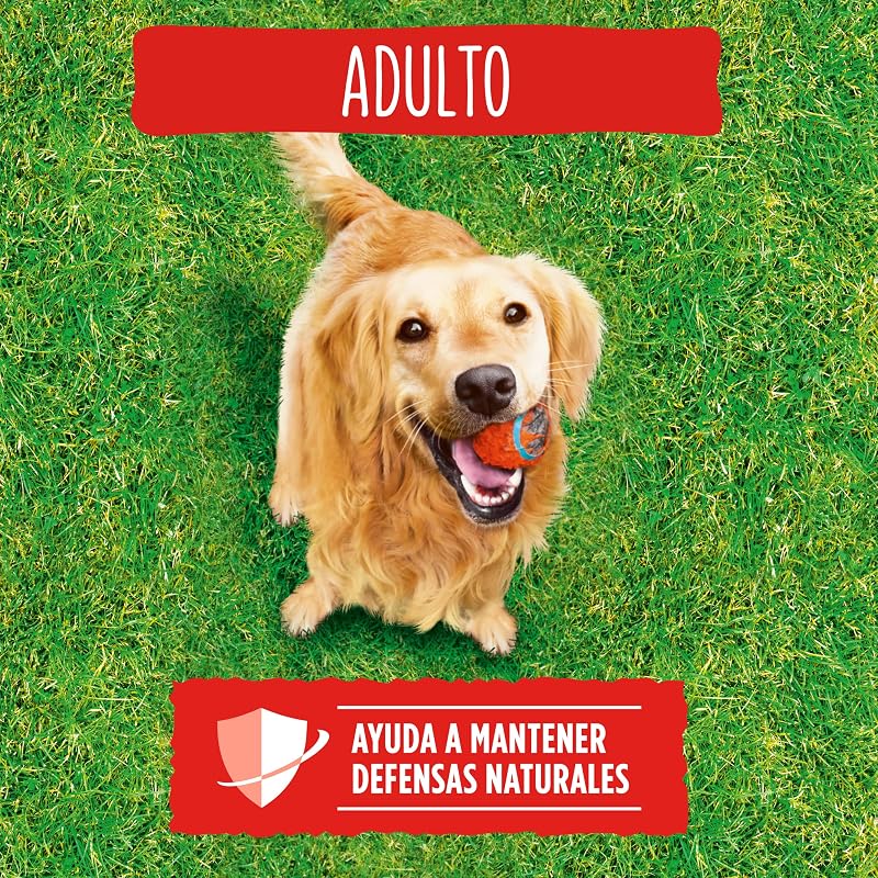Purina Alimentation pour Chien Adulte avec Bœuf, Céréales et Légumes, Sac de 15 kg