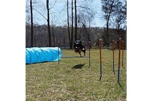 Lord Anson Dog Agility Set - Dog Agility Equipment - 1 Dog Tunnel, 6 Weave Poles, 1 Dog Agility Jump - Canine Agility Set for Dog Training, Obedience, Rehabilitation