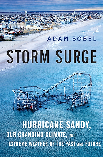 Download Storm Surge: Hurricane Sandy, Our Changing Climate, and Extreme Weather of the Past and Future (English Edition) PDF