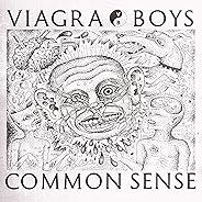 Common Sense [Explicit]