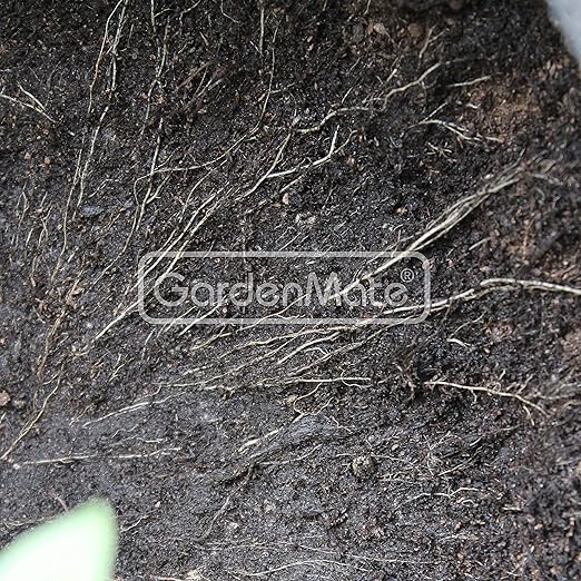 GardenMate® 5X 20l Sacos para Plantas de Malla geotextil ...