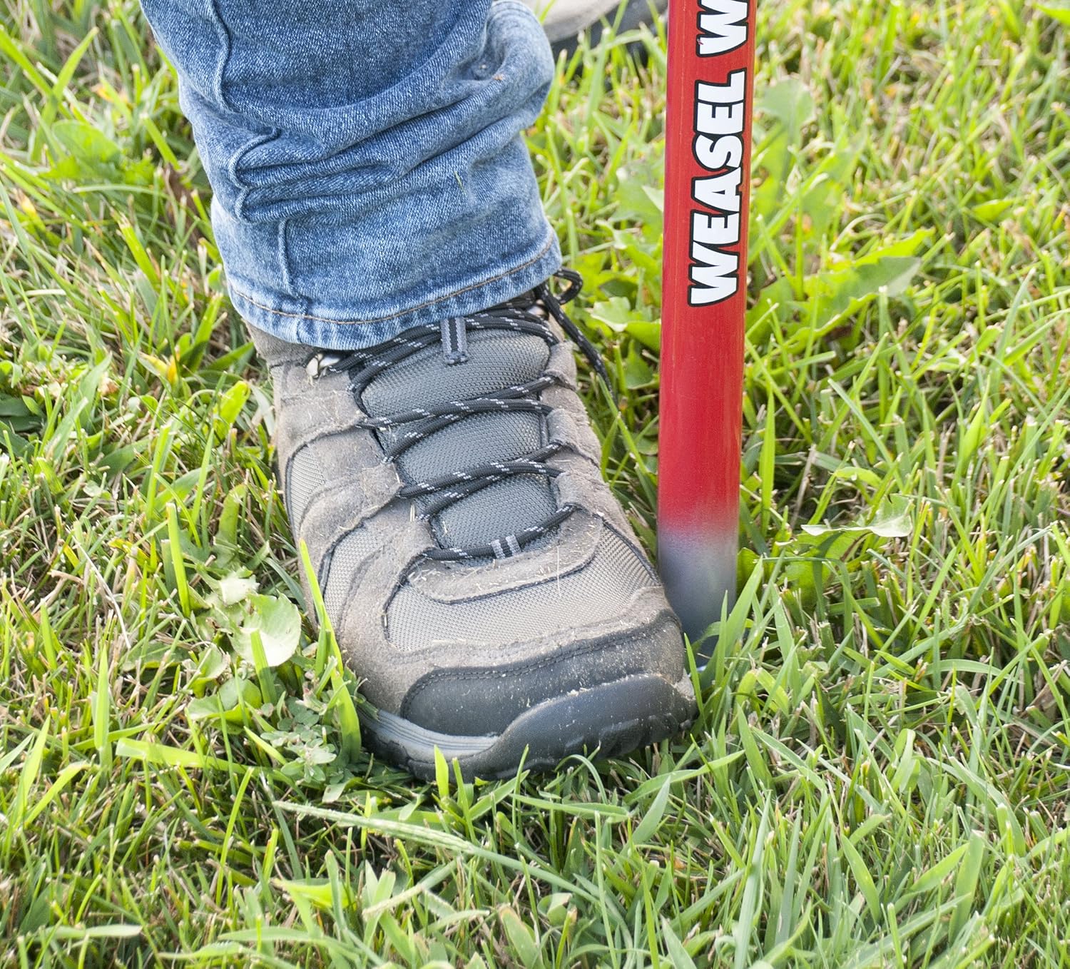 Garden Weasel Step and Twist Hand Weeder, Chemical Free Weeding, 36” Long, Red & Silver : Garden & Outdoor