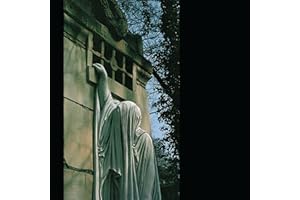 Within The Realm Of A Dying Sun (Vinyl)