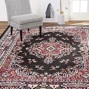 Home Dynamix Premium Sakarya Traditional Rectangle Area Rug, Oriental Black/Red 5'2\
