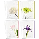 Hallmark Assorted Sympathy Cards (Flowers, 12 Cards and Envelopes)