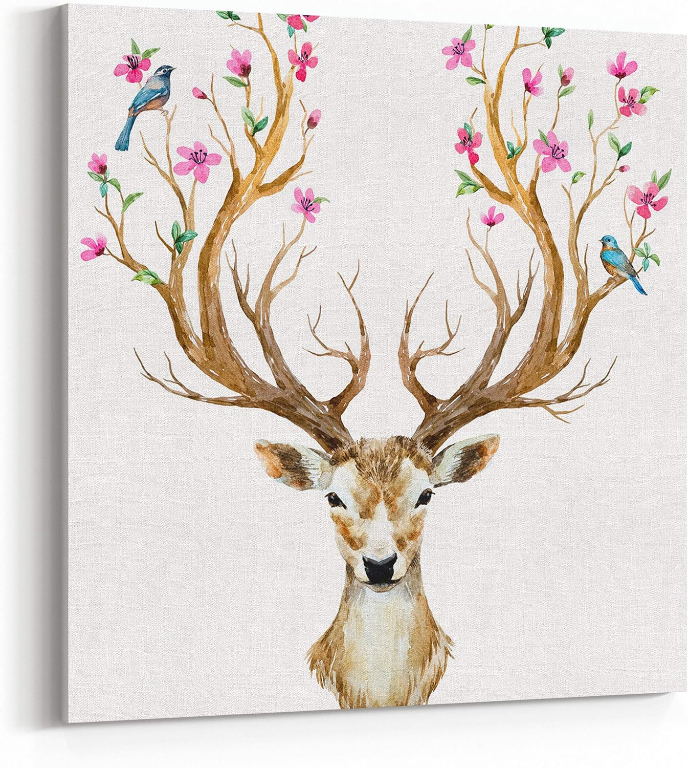 Amazon Co Jp Rosenberry Rooms キャンバス ウォールアート プリント 水彩画 イラスト アイソレーション 鹿 大きな角 花 鳥 角 枝 桜の花 植物 12 X 12 Inches Home Kitchen