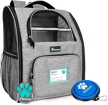 breeding labrador retrievers