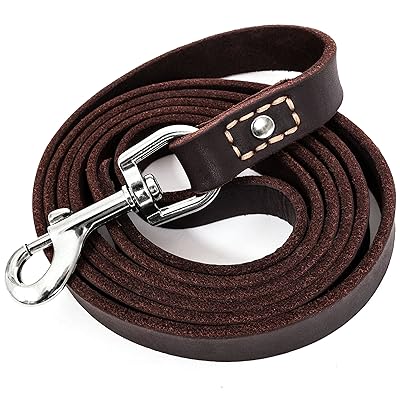 Leatherberg Leather Dog Training Leash