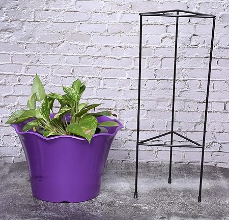HINS 12 Inch Lotus Pot With Iron Metal Black Long Stand For Indoor & Outdoor Gardening Home Decore (Purple) I Plant Stands For Indoor Balcony I Plant Bench I Plant Stands I Pot Stand Single I Potted Plant Stand I Big Pots I Metal Plant Stand I Tall Outdoor Planter I Metal Casters I Large Plant Stand I Pot Stands For Garden I Indoor Plants Stand I Iron Plant Stand I Terrace Garden Stand I Garden Rack I Iron Stand For Pots I Pots Stand I Indoor Planter With Stand