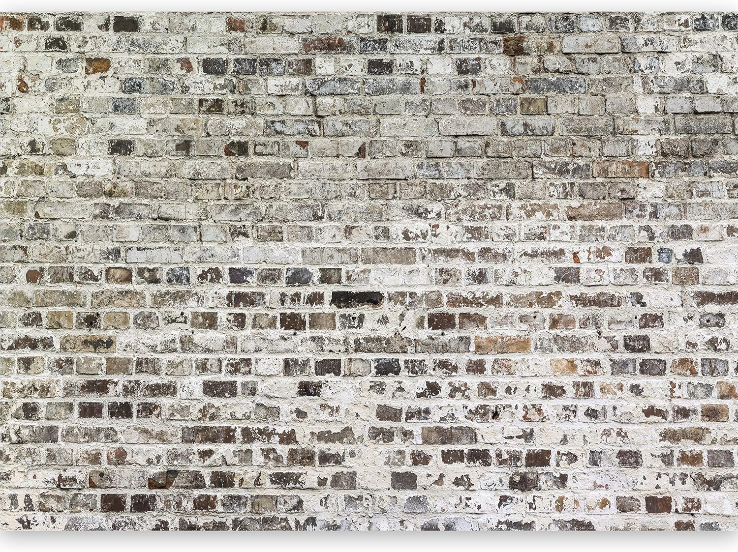 Trompe l oeil Papier peint intissé 500x280 cm murando Texture Brique