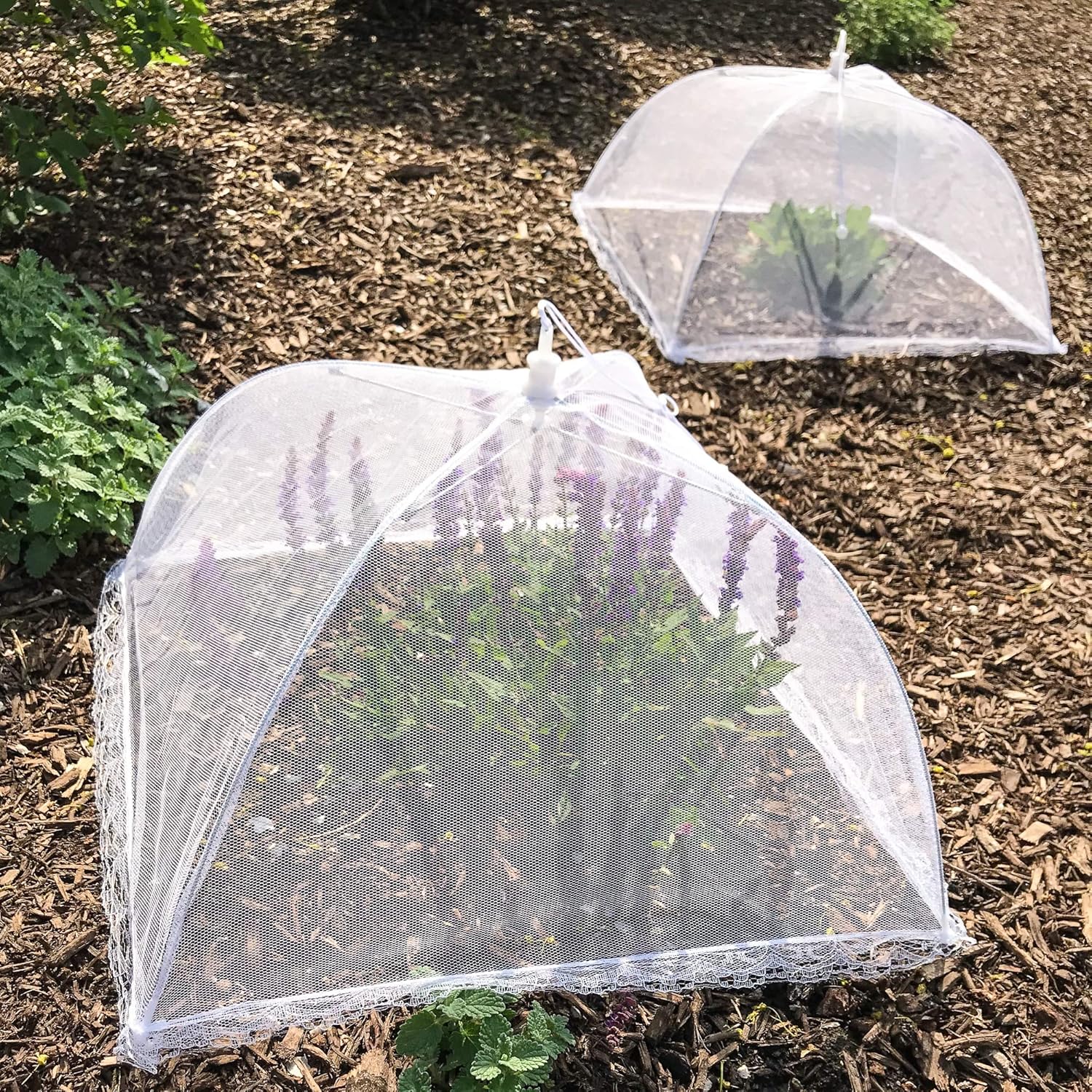  | Simply Genius (6 pack) Large and Tall 17x17 Pop-Up Mesh Food Covers Tent Umbrella for Outdoors, Screen Tents, Parties Picnics, BBQs, Reusable and Collapsible: Plate Serving Covers