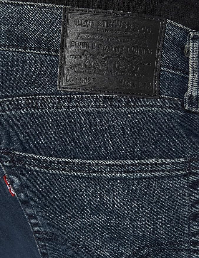 levi's 502 regular taper headed south