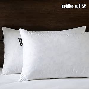 12x20 pillow form