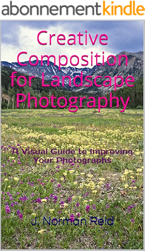 Download Creative Composition for Landscape Photography: A Visual Guide to Improving Your Photographs (English Edition) PDF