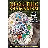 Neolithic Shamanism: Spirit Work in the Norse Tradition