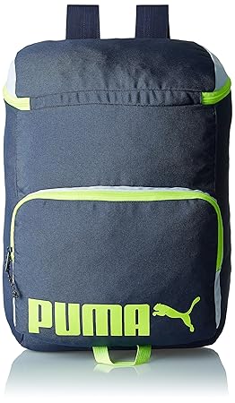Puma 21 Ltrs Blue Casual Backpack (7452802)