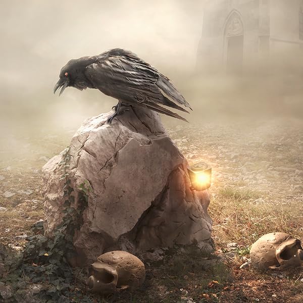 Amazoncom Legacy New Adult Paranormal Suspense The - 