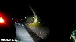 tansoren 4000 lumens eagle eye