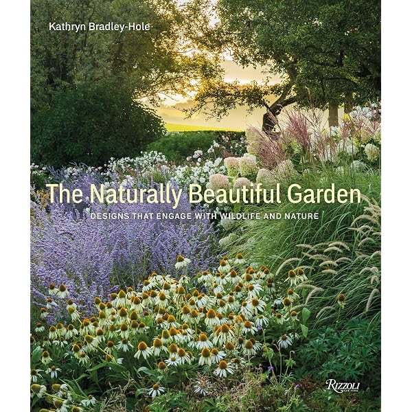 Winterland: Create a Beautiful Garden for Every Season: Rees