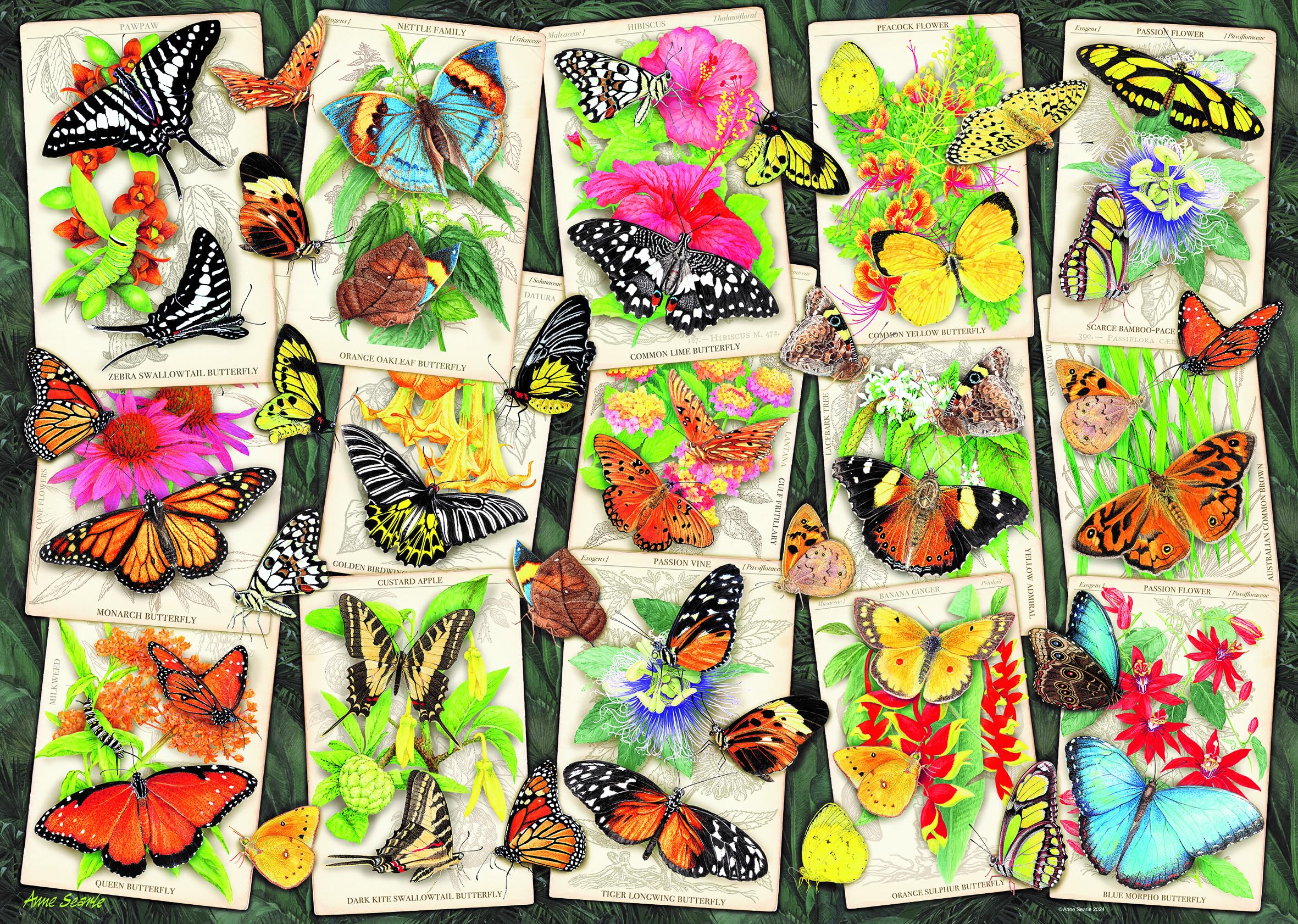 Ravensburger Tropical Butterflies 1000 Piece Jigsaw Puzzles for Adults and Kids Age 12 Years Up