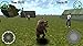 Bear Simulator Madness 3D