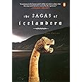 The Sagas of Icelanders: (Penguin Classics Deluxe Edition)