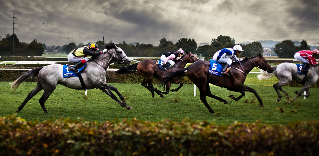 Horse Racing Background