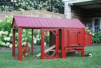Amazoncom Little Cottage Company Atlanta Coop Diy Chicken Coop Kit