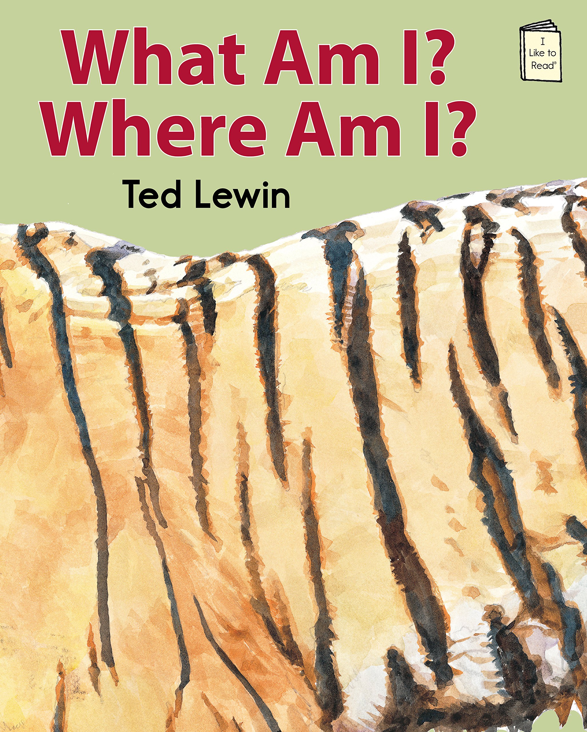 Amazon.com: What Am I? Where Am I? (I Like to Read® Level C ...
