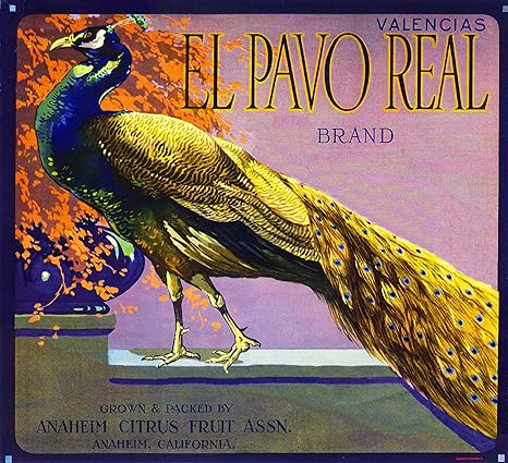 Amazon アナハイムカリフォルニアel Pavo Realブランドピーコックバレンシアオレンジcitrus Fruitクレートボックスラベルアートプリント アートフレーム ポスター オンライン通販