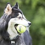 KONG Squeakair Balls Dog Toy Premium Squeak Tennis Balls 3 Pack Medium view 2