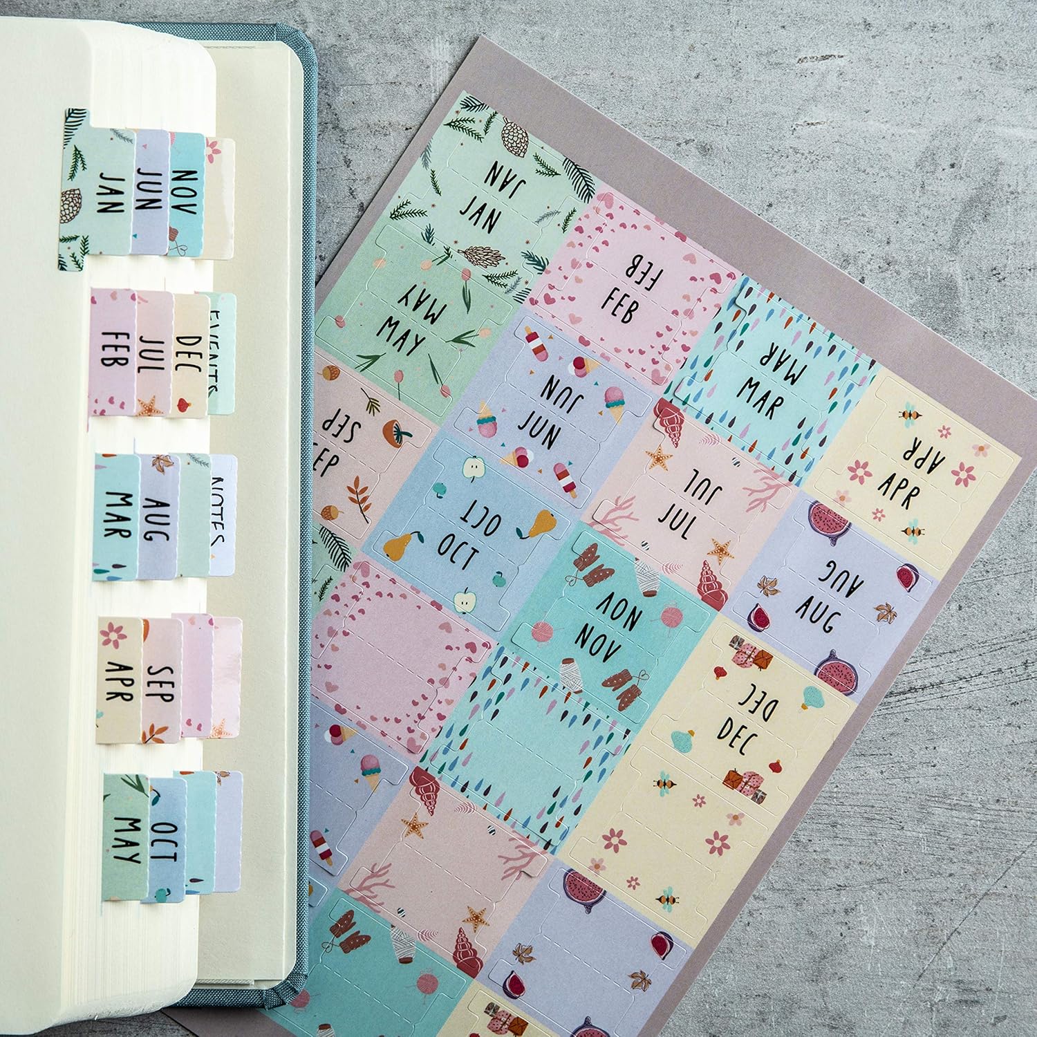 DiverseBee Laminated Planner Monthly Tabs, 24 Peel and Stick Tabs for Notebooks (12 Month Tabs and 12 Blank Tabs), Calendar Monthly Tab Stickers for Planners, Monthly Dividers (Assorted): Office Products