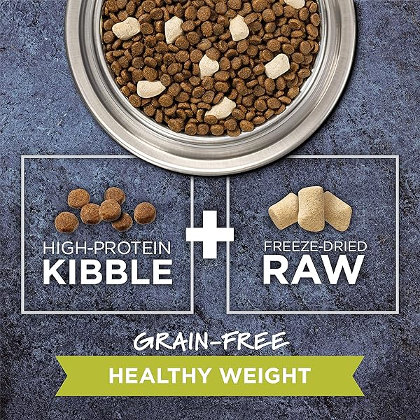 INSTINCT RAW BOOST HEALTHY WEIGHT, NATURAL DRY CAT FOOD WITH FREEZE DRIED PIECES, GRAIN FREE RECIPE – REAL CHICKEN, 10 LB. BAG