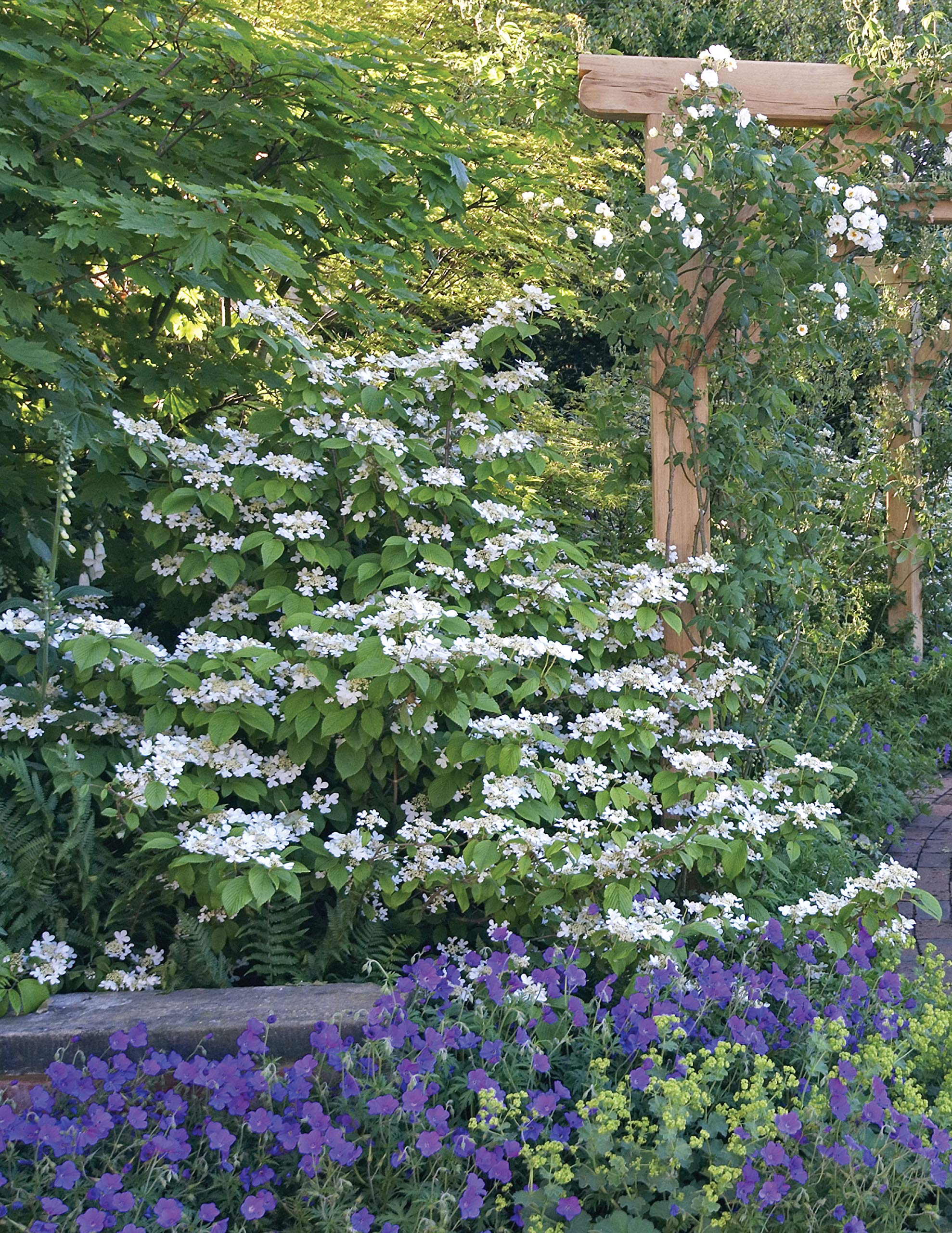 Complete Book of Outdoor DIY Projects: The How-To Guide for Building 35 Projects in Stone, Brick, Wood, and Water (Creative Homeowner) Step-by-Step Instructions for Stylish Lawn & Garden Improvements