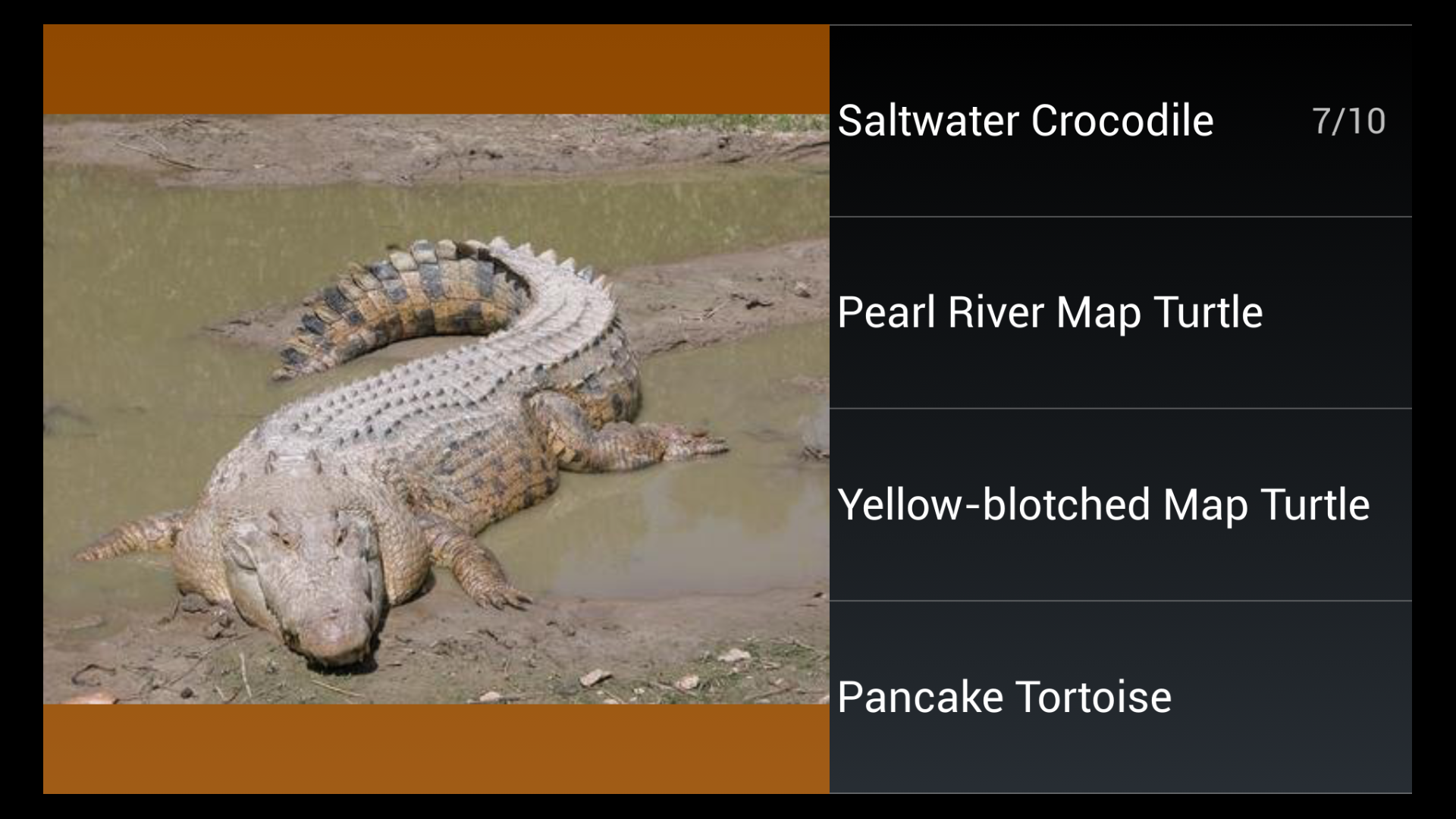 Especies de reptiles Trivia Quiz Amazon.es Appstore para Android