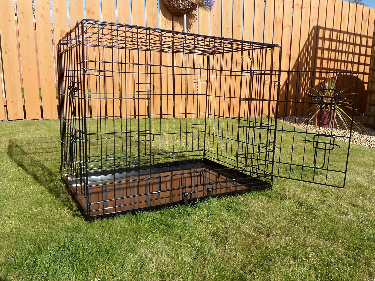 rottweiler adoptions near me