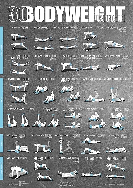 Windhund Poster Din A1 Mit Ubungen Ohne Gerate Bauchtrainer