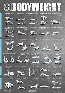 Windhund Ubungsposter Gymball Grosses Din A1 Poster Mit 30