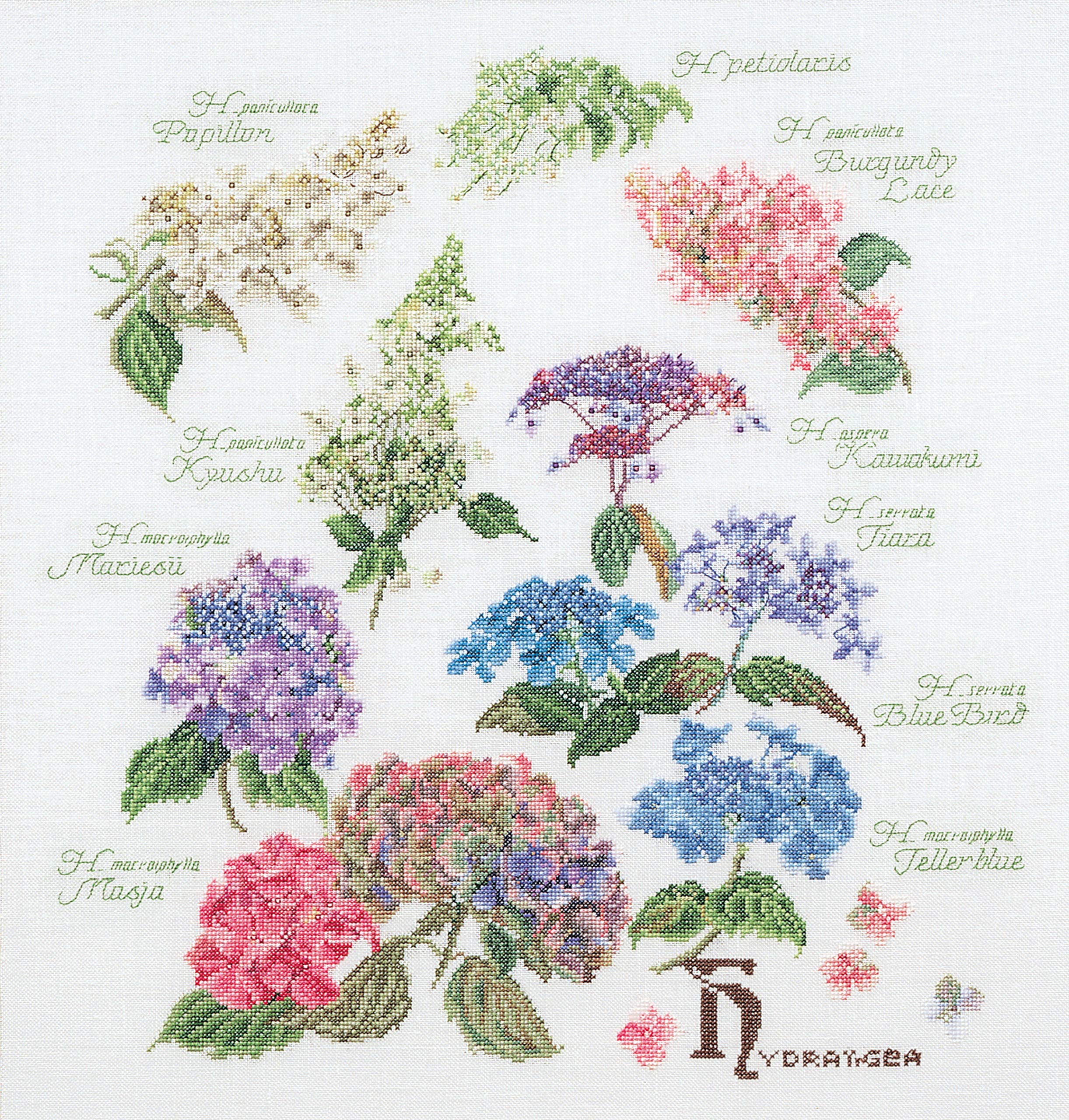 3067A Hydrangea Panel Aida Cross Stitch Kit