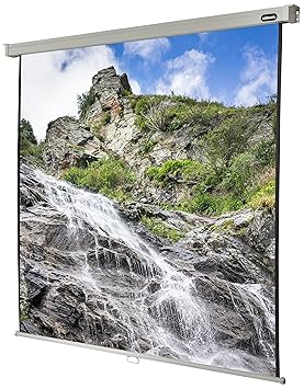 celexon Pantalla Manual Extensible para Escuela, proyección ...