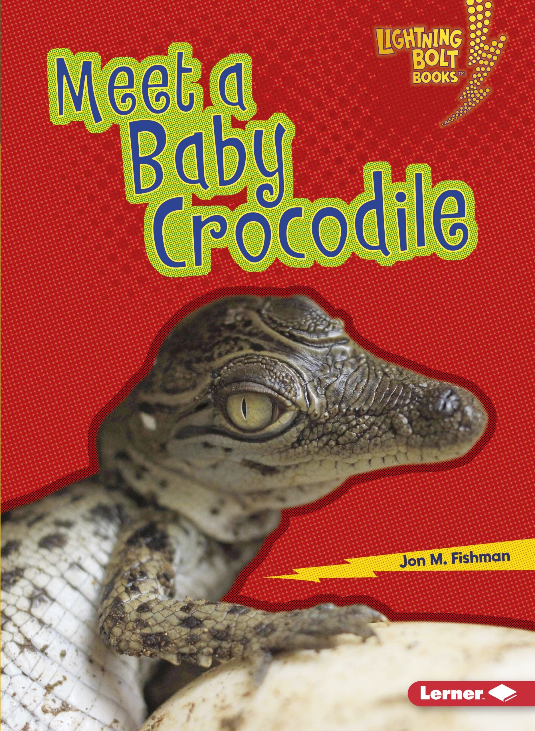 Buy Meet A Baby Crocodile Baby Australian Animals Lightning Bolt Book Online At Low Prices In India Meet A Baby Crocodile Baby Australian Animals Lightning Bolt Reviews Ratings Amazon In