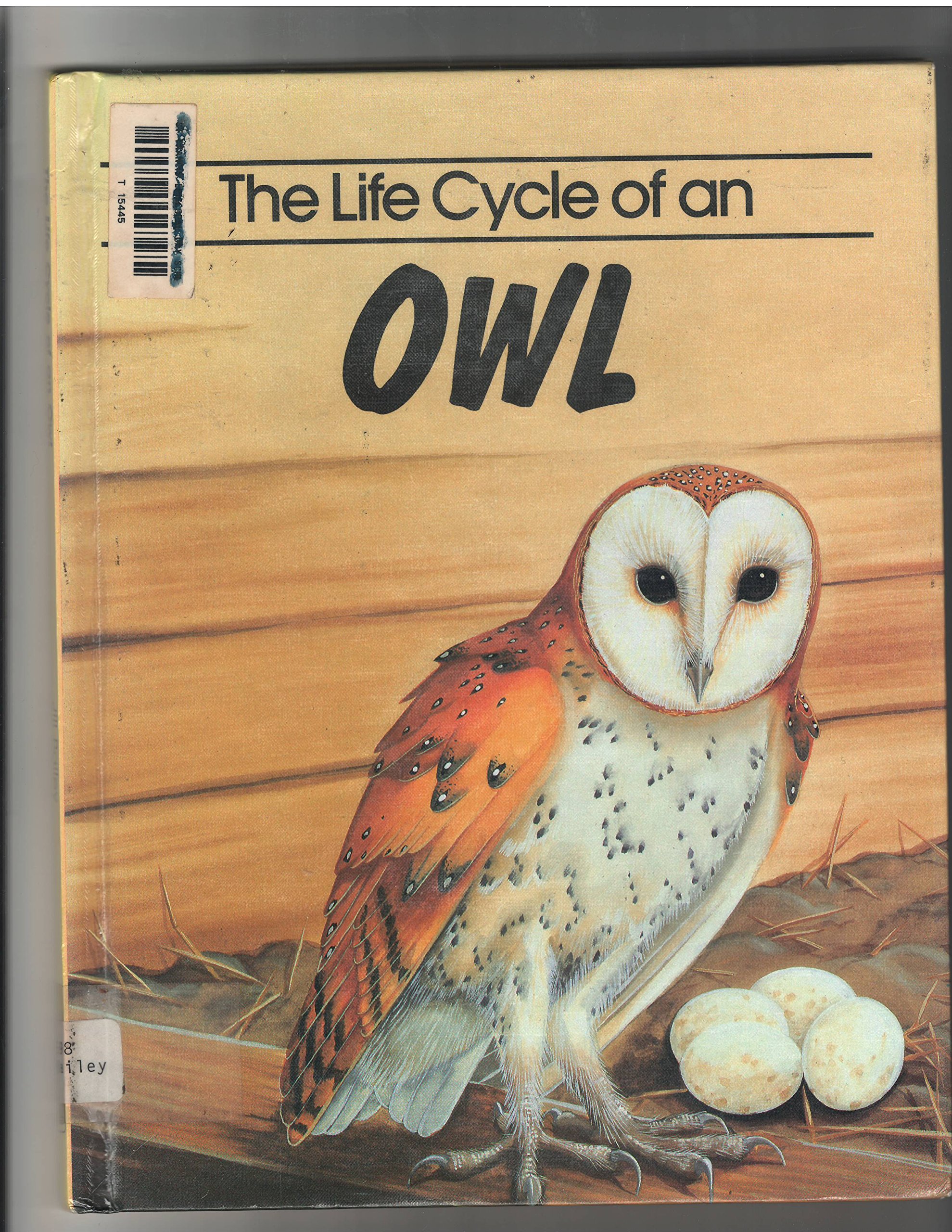 The Life Cycle Of An Owl Life Cycle Series Jill Bailey Jackie