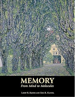 University Of Colorado Boulder