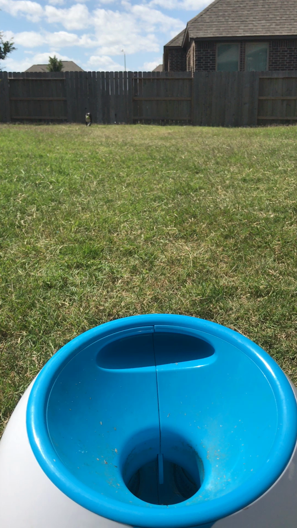 Customer reviews iFetch Interactive Ball Launcher for Dogs